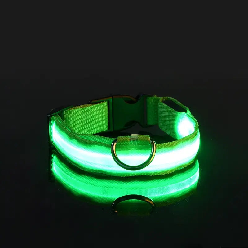 Glow-In-The-Dark Pet Collar for Dogs, LED Dog Collar For Night Walking