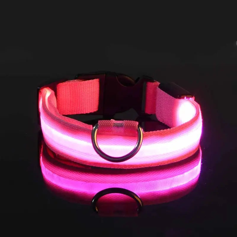 Glow-In-The-Dark Pet Collar for Dogs, LED Dog Collar For Night Walking