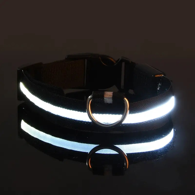 Glow-In-The-Dark Pet Collar for Dogs, LED Dog Collar For Night Walking