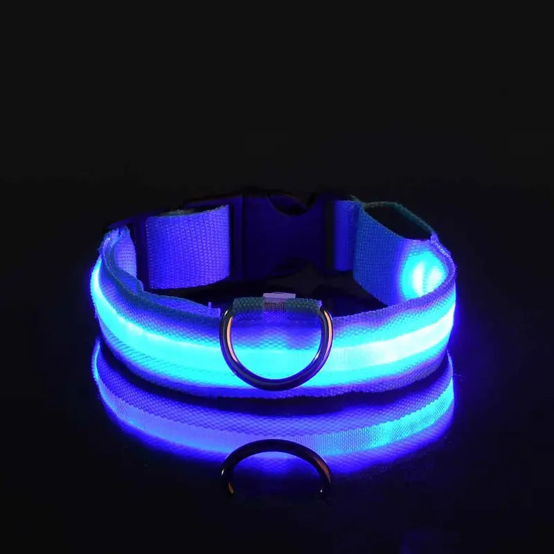 Glow-In-The-Dark Pet Collar for Dogs, LED Dog Collar For Night Walking